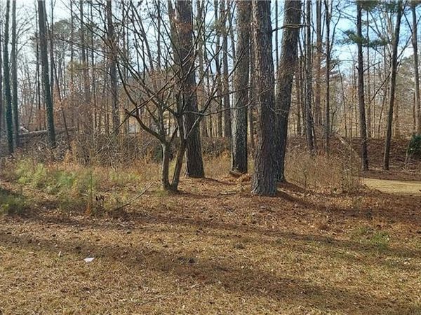 675 Fern Brooks Drive SW, Atlanta, GA 30331