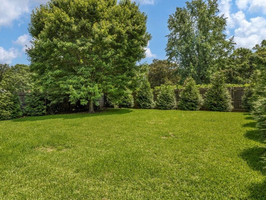 Property Image 64