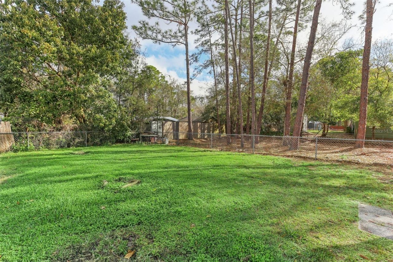 7711 Amherst Street , Tampa, FL 33625 Photo