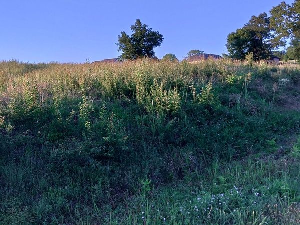 0 Collins Run , Unit 51, Mc Minnville, TN 37110