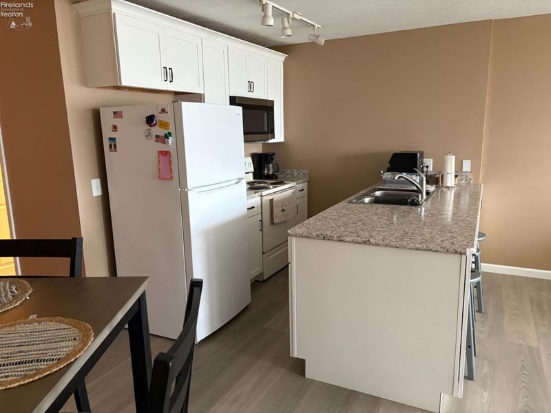 348 Toledo Avenue, Unit A, Put in Bay, OH 43456 Photo 7