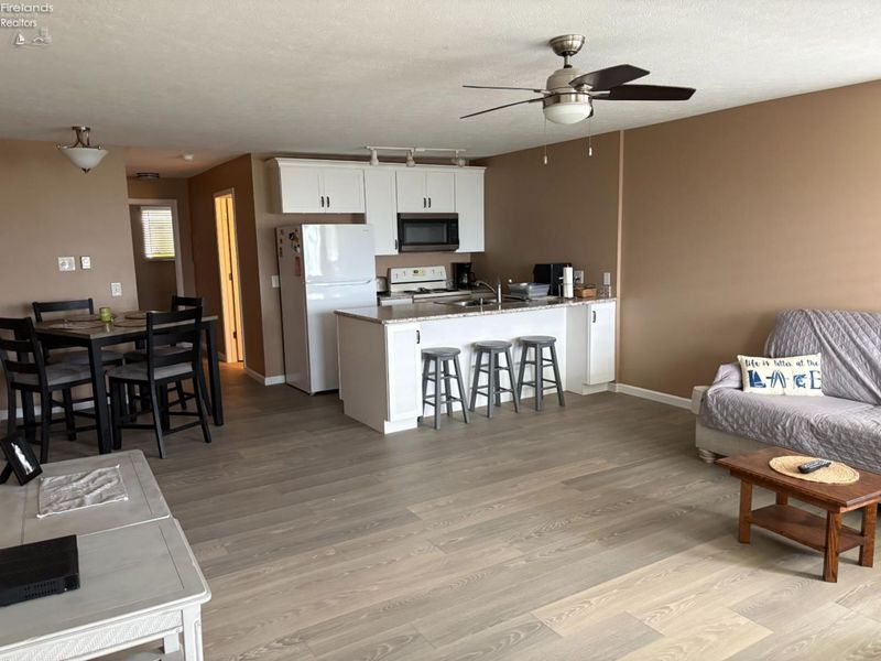 348 Toledo Avenue, Unit A, Put in Bay, OH 43456 Photo 8