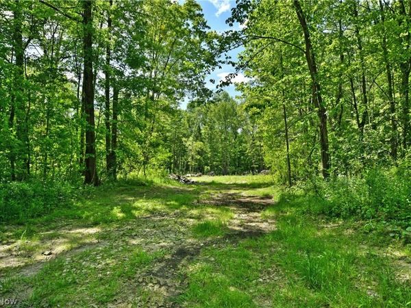 Mahan Denman Road , Bristolville, OH 44402