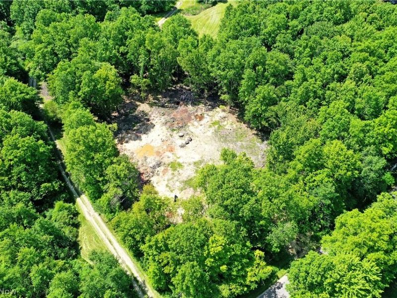 Mahan Denman Road, Bristolville, OH 44402 Photo 10
