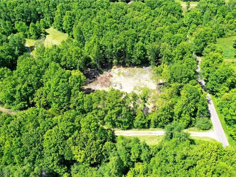 Mahan Denman Road, Bristolville, OH 44402 Photo 11