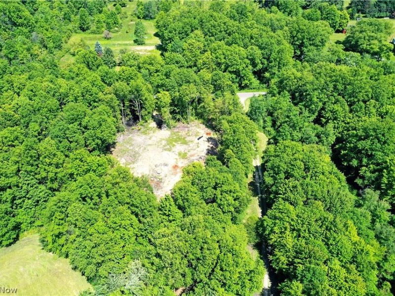 Mahan Denman Road, Bristolville, OH 44402 Photo 13