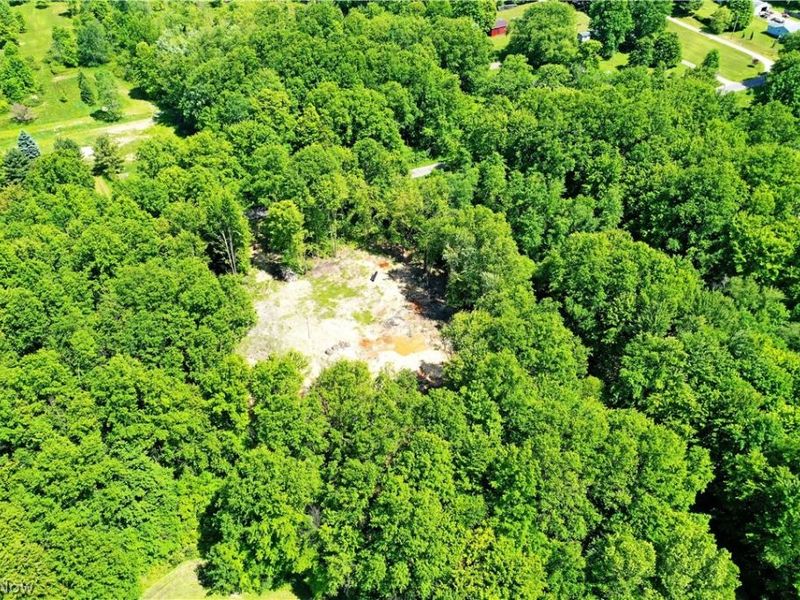 Mahan Denman Road, Bristolville, OH 44402 Photo 14