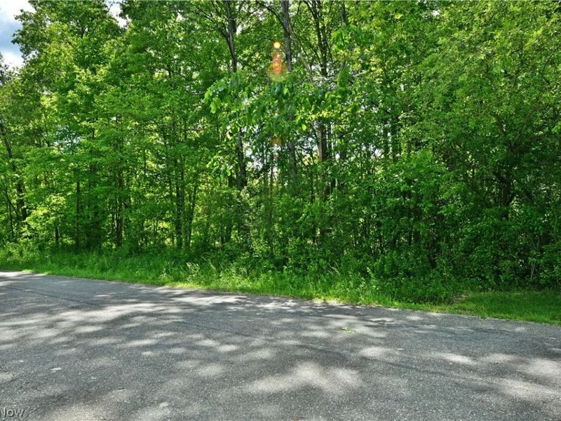 Mahan Denman Road, Bristolville, OH 44402 Photo 19