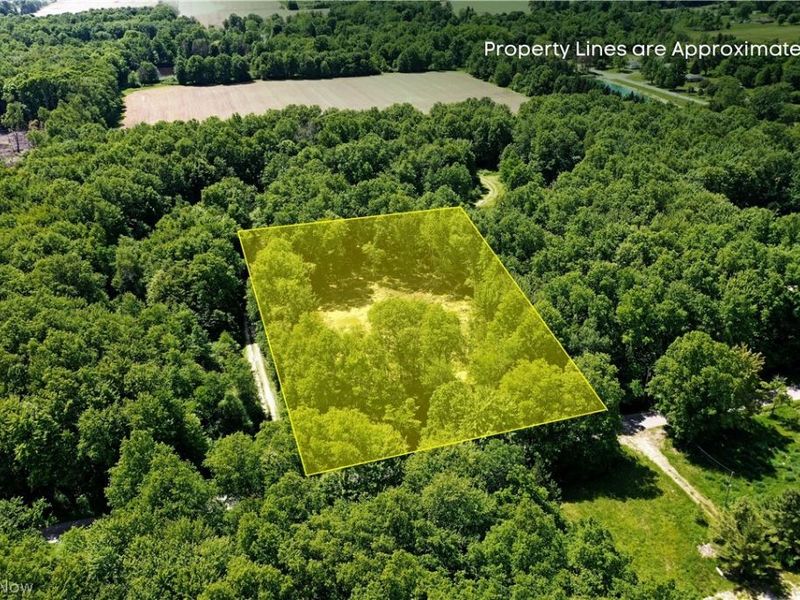 Mahan Denman Road, Bristolville, OH 44402 Photo 2