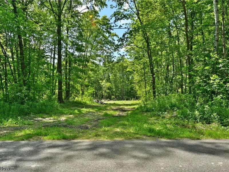 Mahan Denman Road, Bristolville, OH 44402 Photo 20