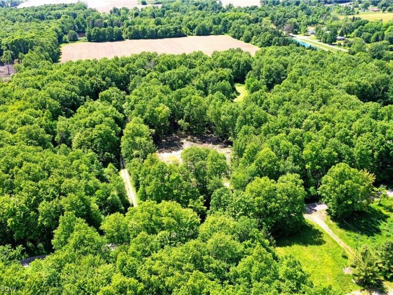 Mahan Denman Road, Bristolville, OH 44402 Photo 3