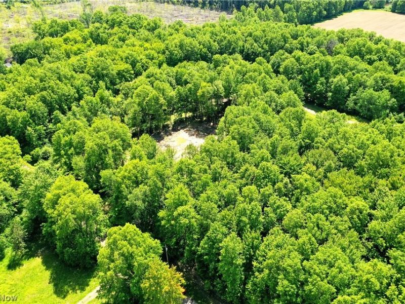 Mahan Denman Road, Bristolville, OH 44402 Photo 5