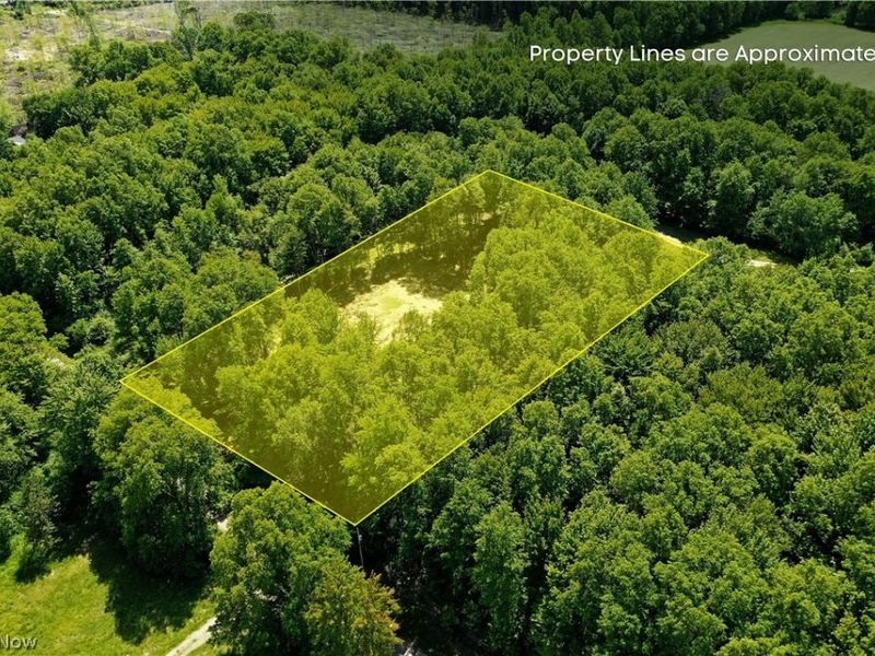 Mahan Denman Road, Bristolville, OH 44402 Photo 6