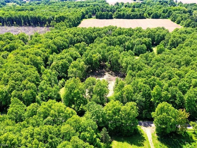 Mahan Denman Road, Bristolville, OH 44402 Photo 7