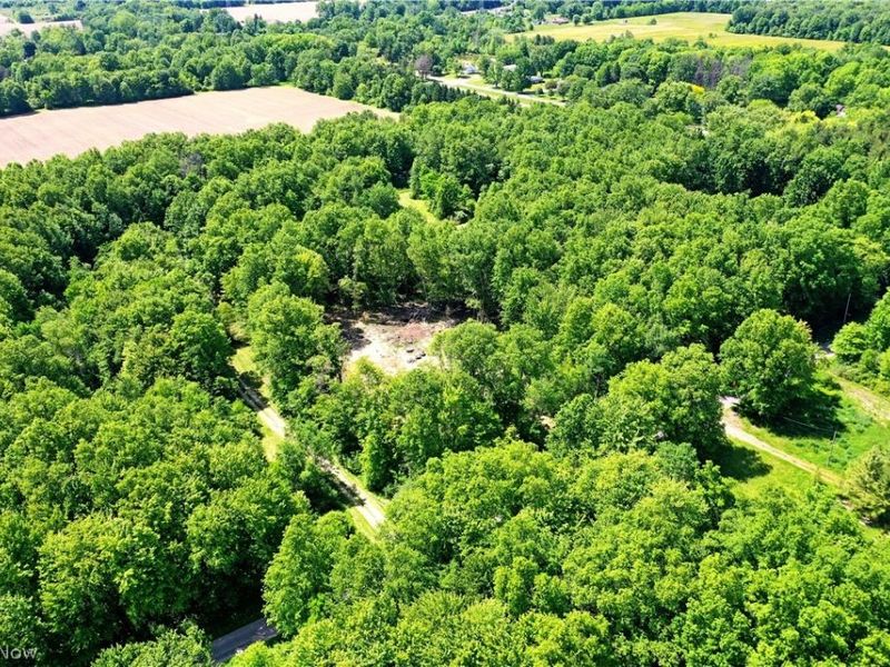 Mahan Denman Road, Bristolville, OH 44402 Photo 8