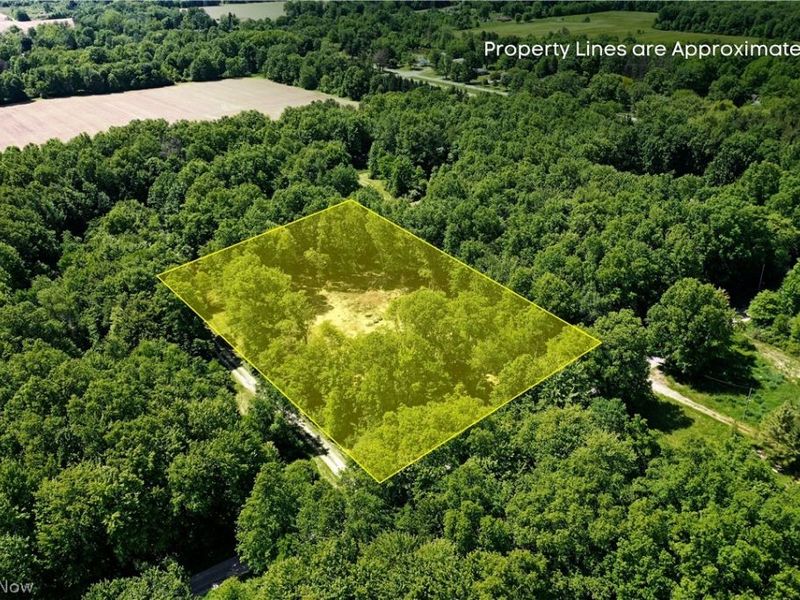 Mahan Denman Road, Bristolville, OH 44402 Photo 9