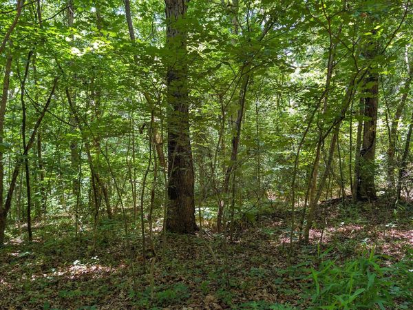 Lot 16 Bell Hollow Road, Cannelton, IN 47520