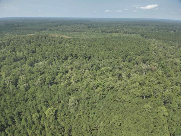 56 Field , Camden, AR 71701