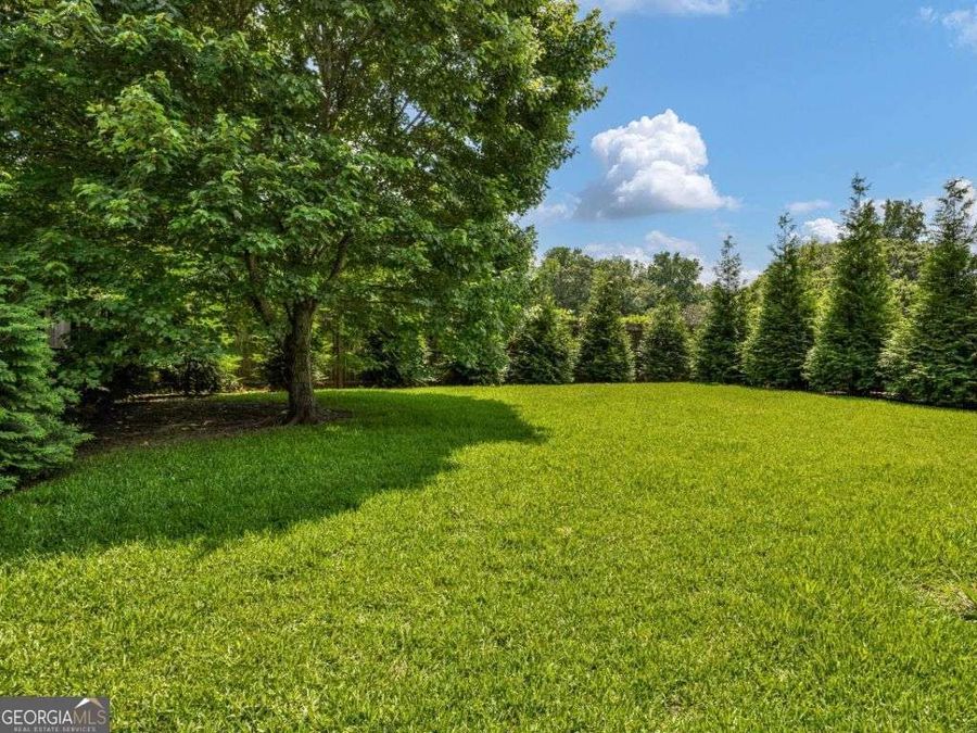 Property Image 64
