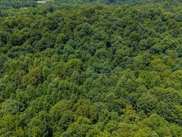 Lot 14 Bell Hollow Road, Cannelton, IN 47520