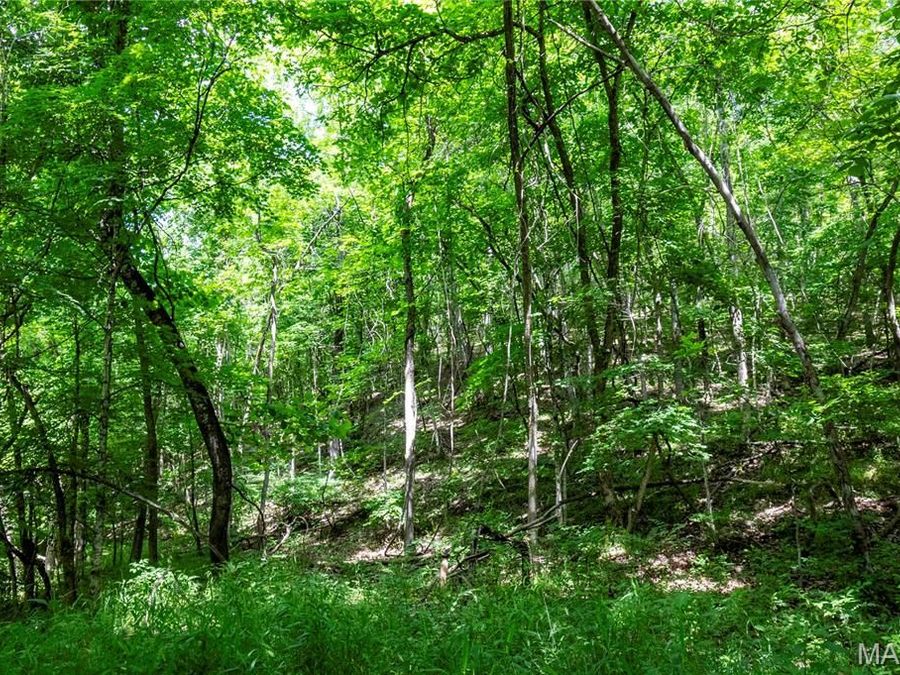 Property Image 65
