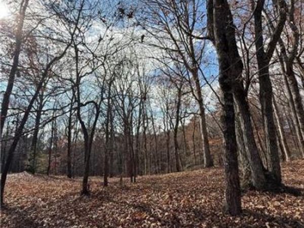 0 Orchard Road , Jasper, GA 30143