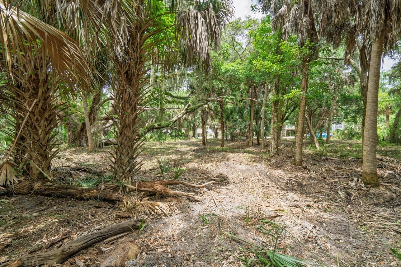 3322 Myrtle Street Photo 10