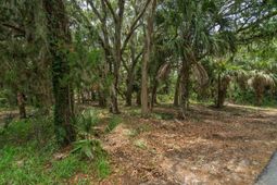 3322 Myrtle Street photo 4
