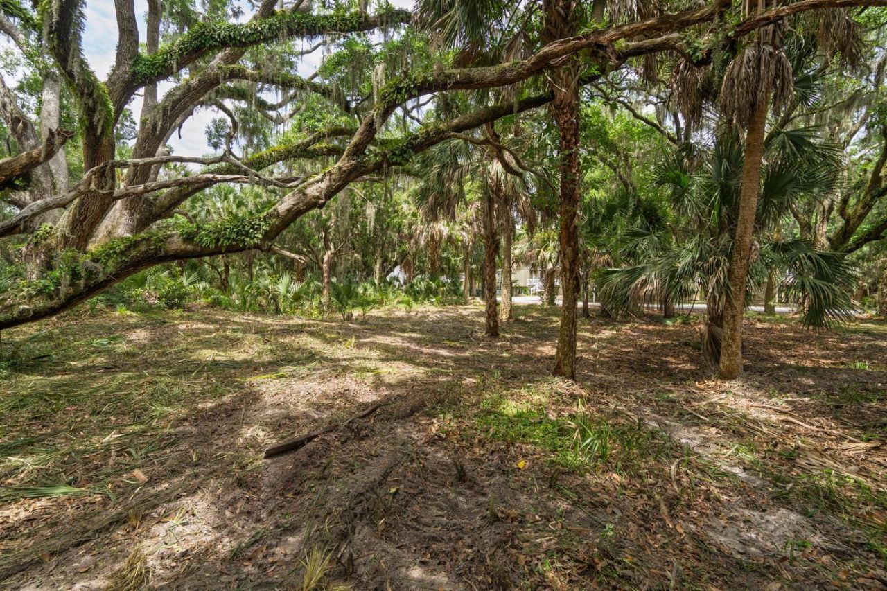 3322 Myrtle Street Photo 8