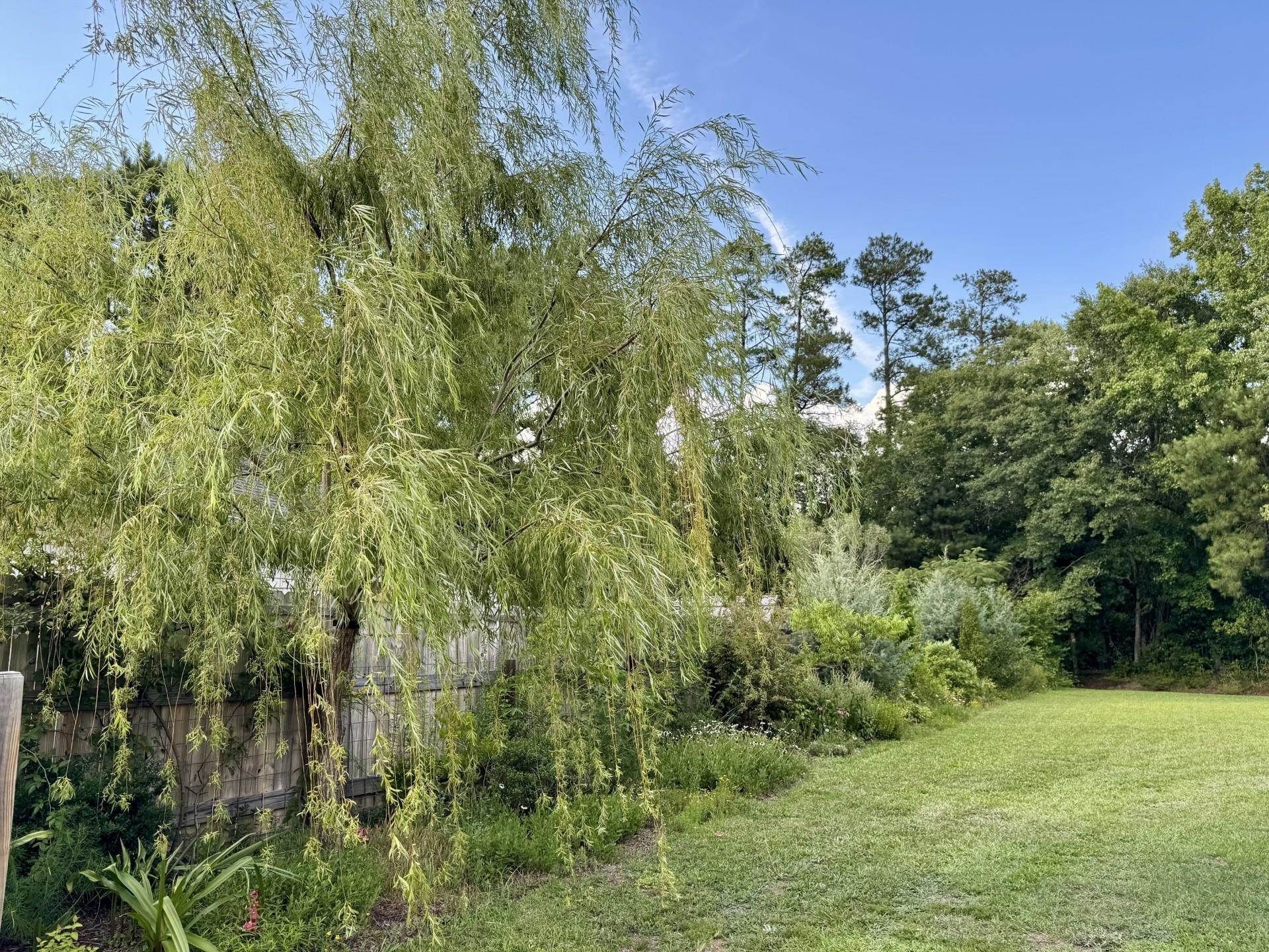 225 Fox Hunt Pl. Photo 40