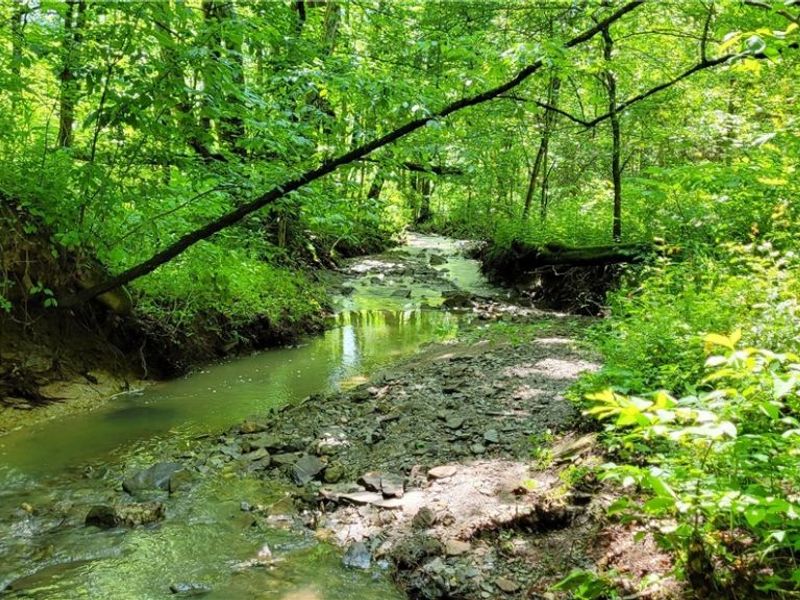 Hollis Clark Road, Caldwell, OH 43724 Photo 16