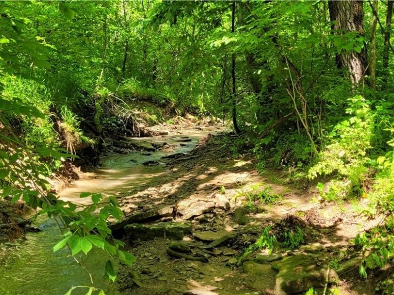 Hollis Clark Road, Caldwell, OH 43724 Photo 17