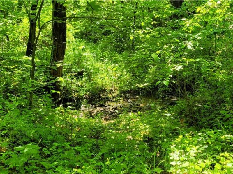 Hollis Clark Road, Caldwell, OH 43724 Photo 38