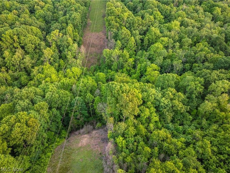 Hollis Clark Road, Caldwell, OH 43724 Photo 47