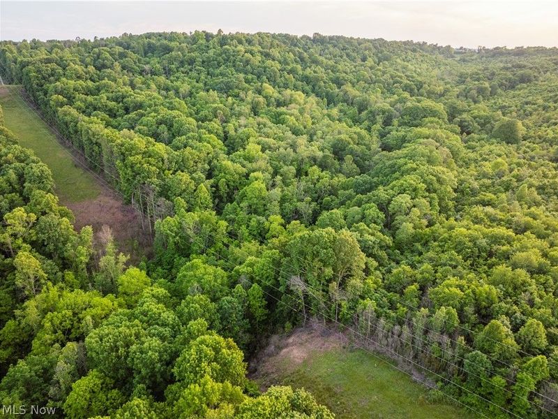 Hollis Clark Road, Caldwell, OH 43724 Photo 48