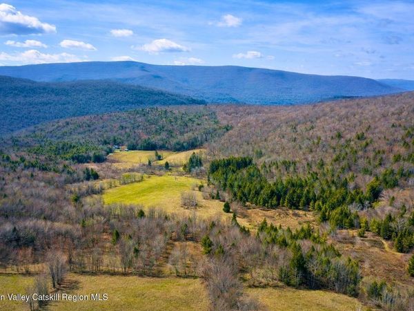 Tbd Hogg Mountain Road, Fleischmanns, NY 12430