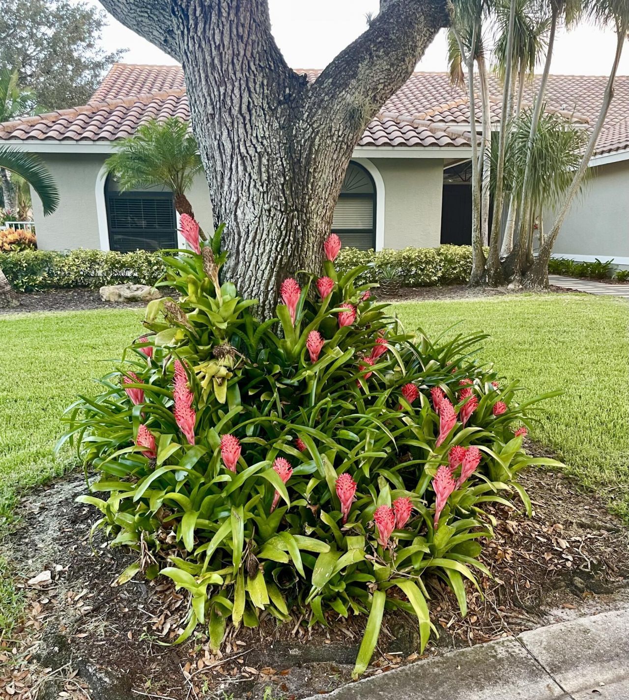 4704 NW 99th Lane, Coral Springs, FL 33076 Photo