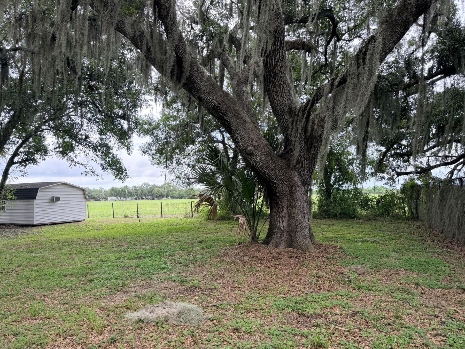 1206 SE 10th Street, Okeechobee, FL 34974 Photo