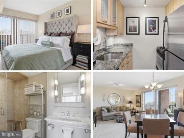 1300 ARMY NAVY DRIVE, Unit 819, ARLINGTON, VA 22202