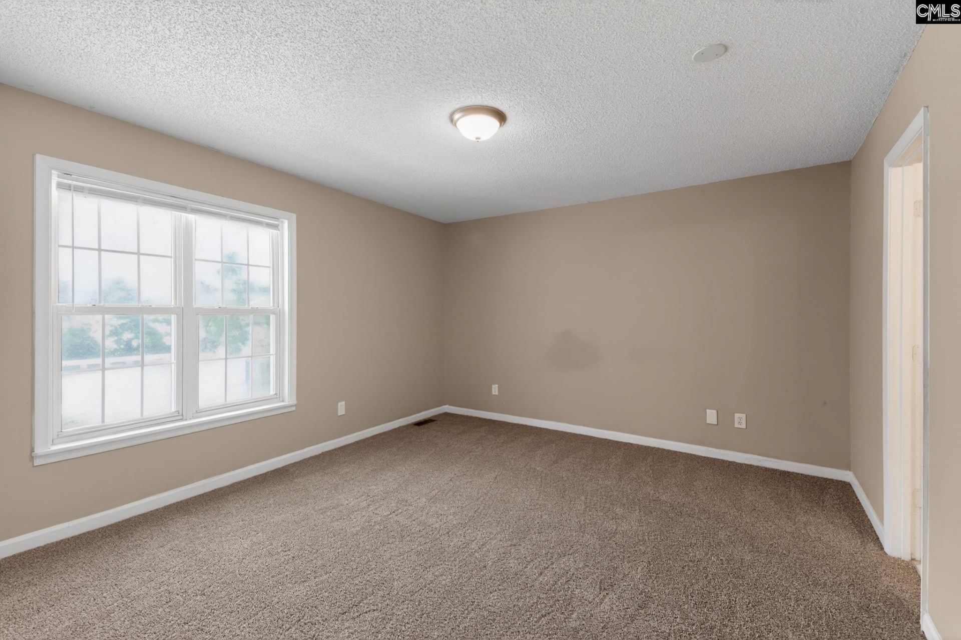 231 Sparkleberry Lane  Photo 20