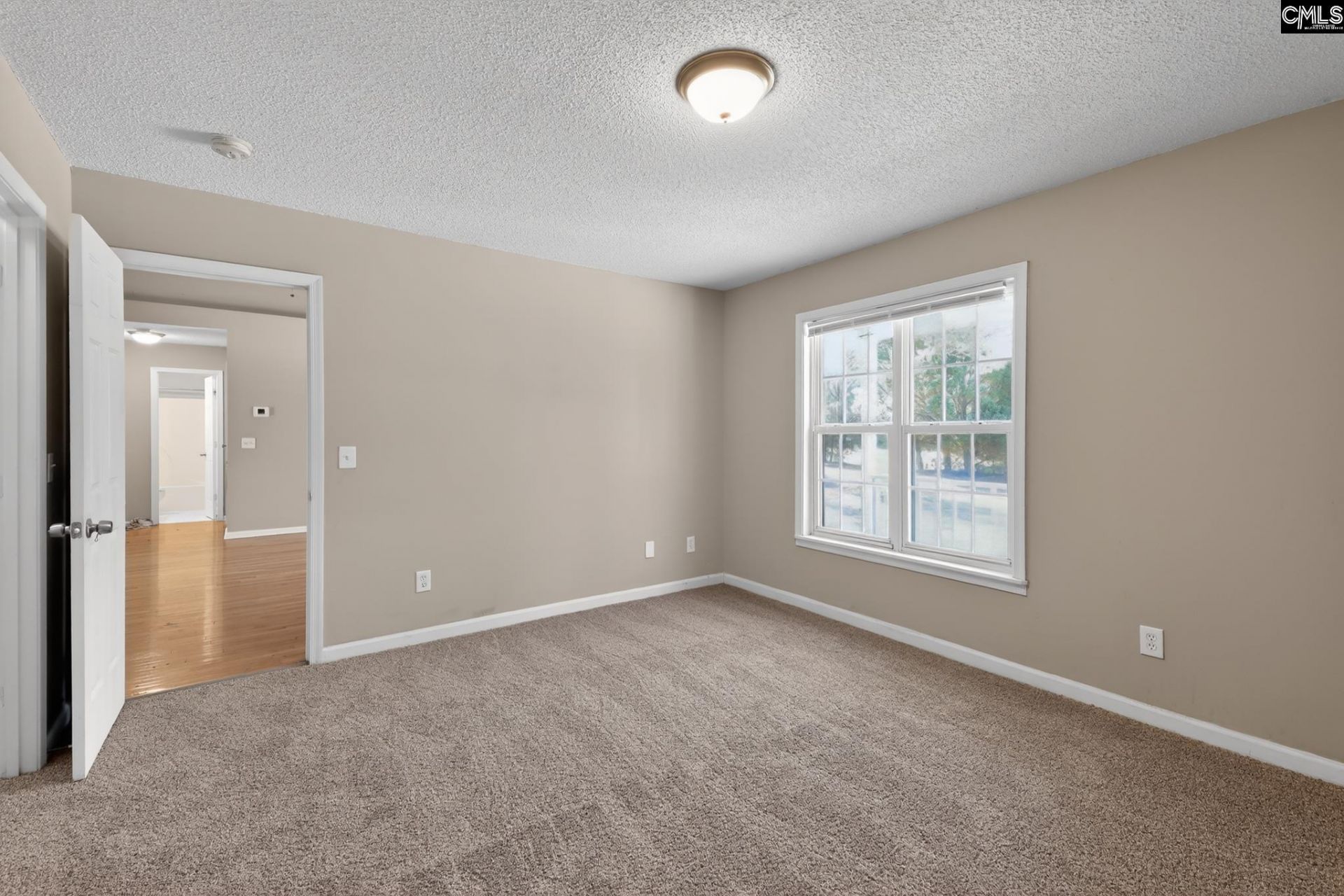 231 Sparkleberry Lane  Photo 22