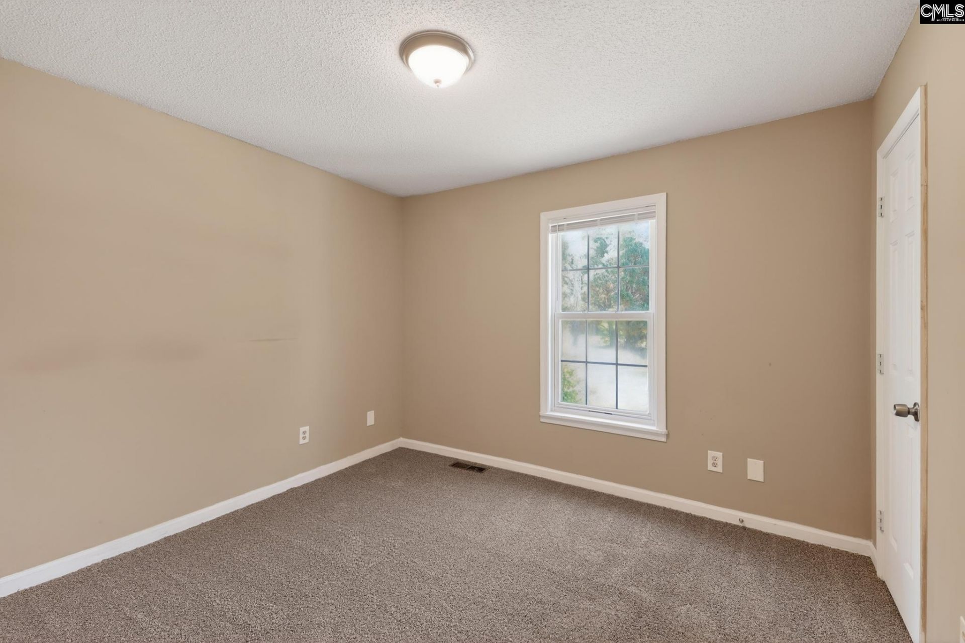 231 Sparkleberry Lane  Photo 26