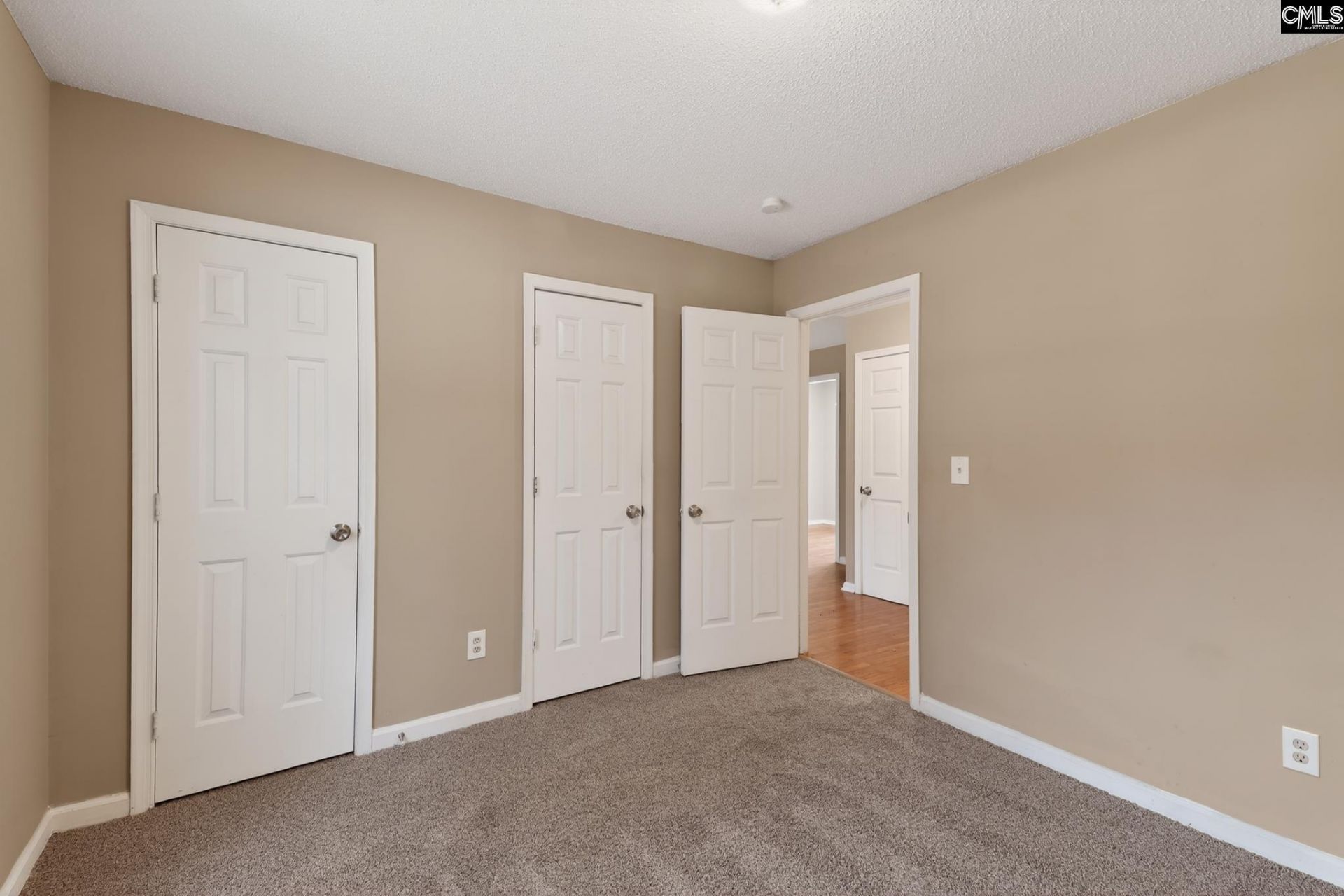 231 Sparkleberry Lane  Photo 27