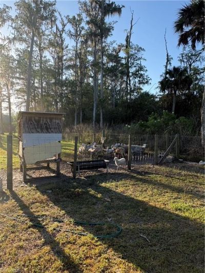 855 N Datil St, Clewiston, FL 33440 Photo