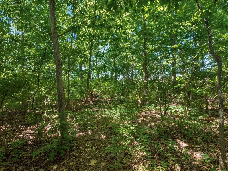 690 Quail Hollow Drive S, Marysville, OH 43040 Photo 52