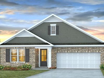 204 Blueberry Fields Ct. , Longs, SC 29568