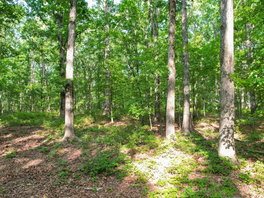 Property Image 63