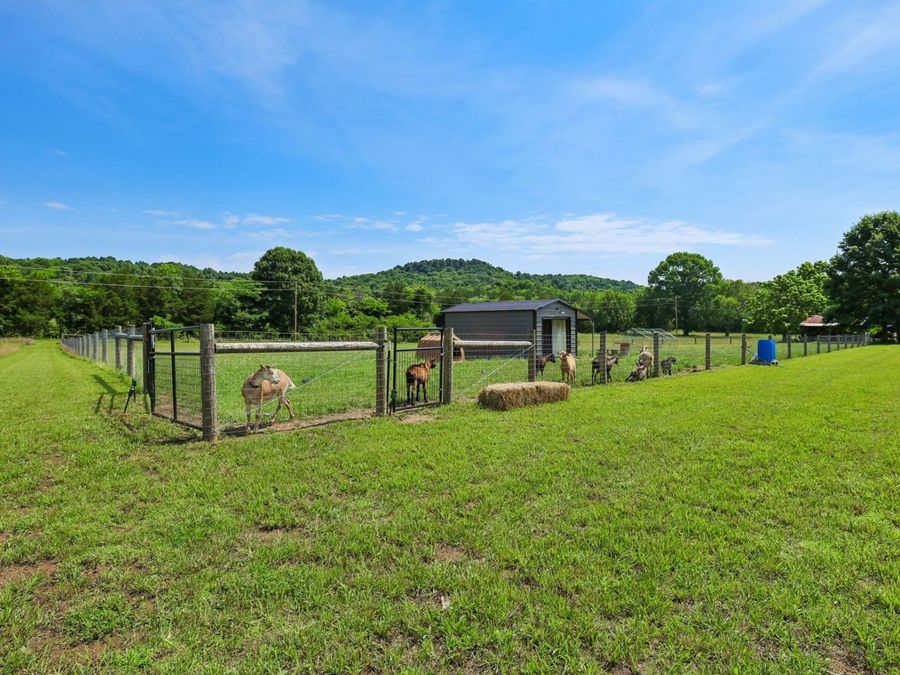 Property Image 90