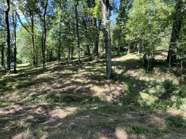 0 Horseshoe Bend Ln , Unit 2, Elmwood, TN 38560