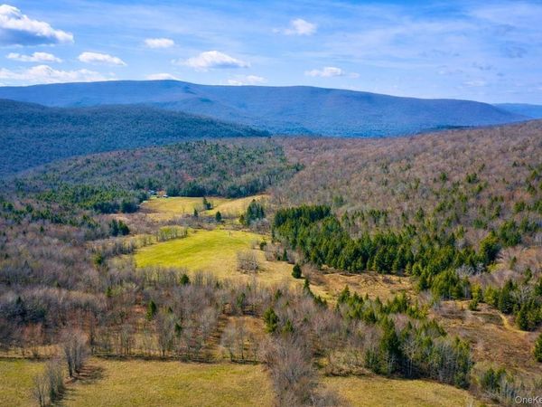 Hogg Mountain , Fleischmanns, NY 12430